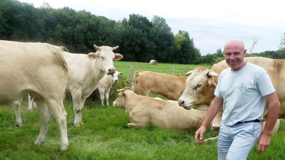 « Intégrer une démarche de circuits courts permet d’être maître de ses choix, de valoriser sa production et de mieux vivre de son travail », souligne Yannick Mercadier, au milieu de ses blondes d’Aquitaine. © C.-H. Yvard